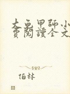 大龟甲师小说免费阅读全文