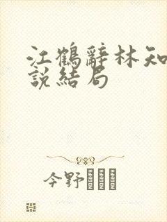 江鹤辞林知鸢小说结局