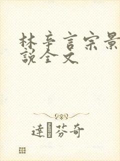 林辛言宗景灏小说全文