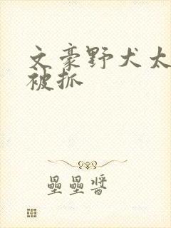 文豪野犬太宰治被抓