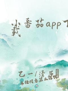 小番茄app下载