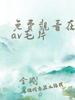 免费观看在线的av毛片