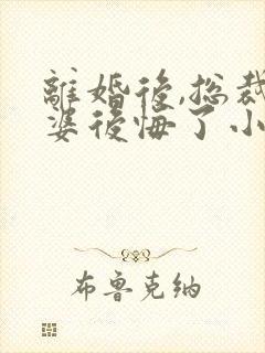 离婚后,总裁老婆后悔了小说完整版