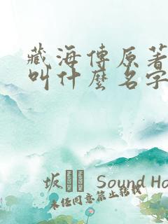 藏海传原著小说叫什么名字