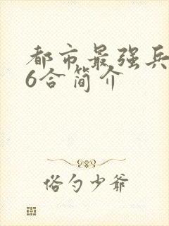 都市最强兵王陈6合简介