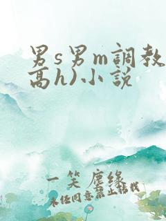 男s男m调教(高h)小说