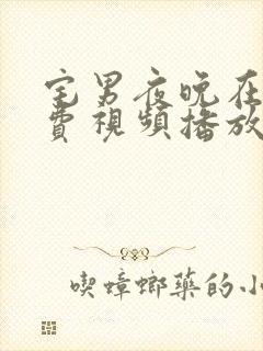 宅男夜晚在线免费视频播放