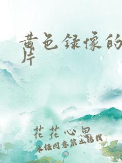 黄色录像的一级片