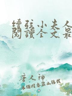 续弦小夫人免费阅读全文最新