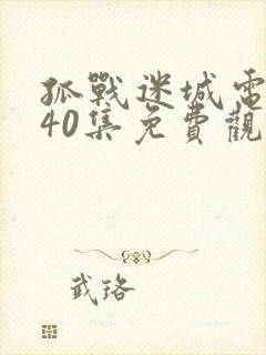 孤战迷城电视剧40集免费观看2024