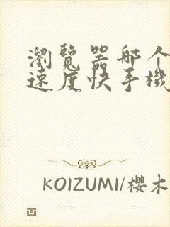 浏览器哪个好用速度快手机