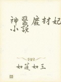 神医废材妃连玦小说