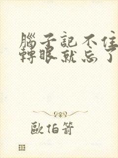 脑子记不住东西转眼就忘了