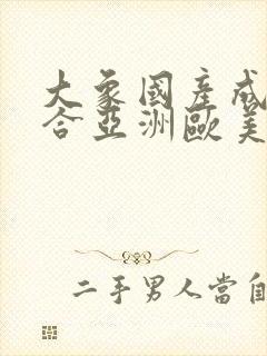 大象国产成人综合亚洲欧美在线