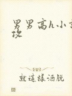 男男高h小说主攻