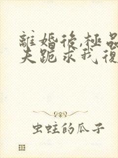 离婚后,极品前夫跪求我复婚