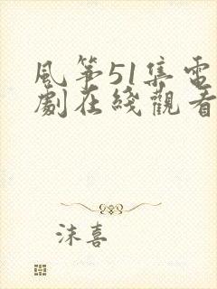 风筝51集电视剧在线观看免费全集