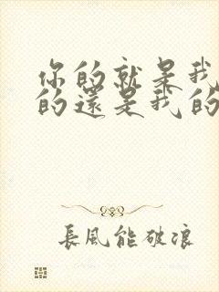 你的就是我的我的还是我的是谁说的