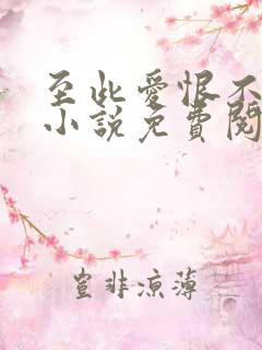 至此爱恨不相逢小说免费阅读