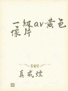 一级av黄色录像片