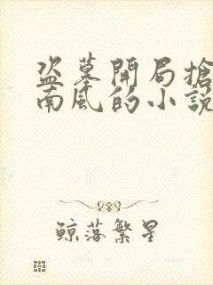 盗墓开局抢了尹南风的小说