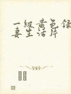 一级黄色录像夫妻生活片