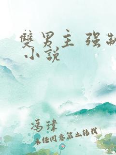 双男主 强制爱 小说