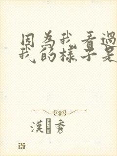 因为我看过你爱我的样子是什么歌