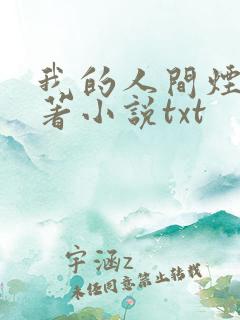 我的人间烟火原著小说txt