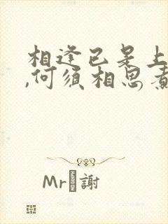 相逢已是上上签,何须相思煮流年,即便