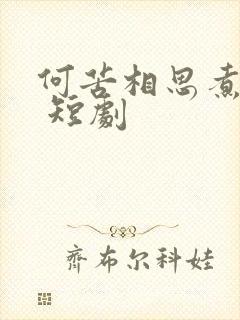 何苦相思煮余年 短剧