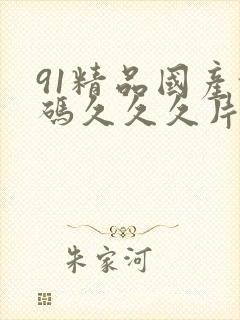 91精品国产乱码久久久片