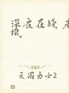 深夜在线 老司机