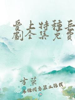 爱上特种兵电视剧全集免费观看