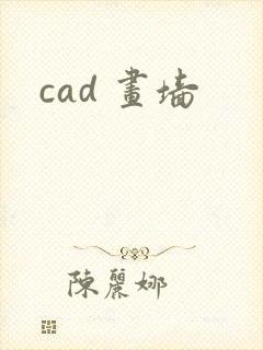 cad 画墙