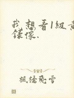 我想看1级黄色录像.