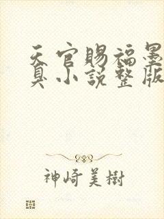 天官赐福墨香铜臭小说整版全文下载