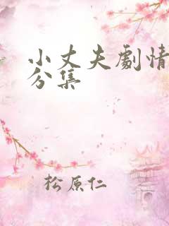 小丈夫剧情介绍分集