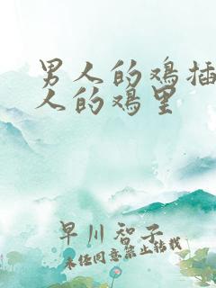 男人的鸡插进女人的鸡里