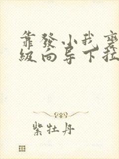 靠发小我变身顶级向导下拉式漫画