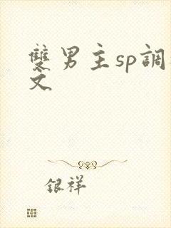 双男主sp调教文