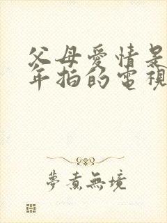 父母爱情是哪一年拍的电视剧