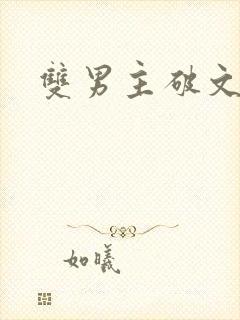 双男主破文