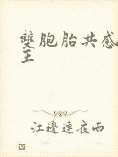 双胞胎共感双男主