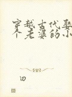 穿越古代娶了八个老婆的小说推荐