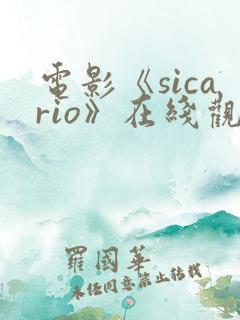 电影《sicario》在线观看