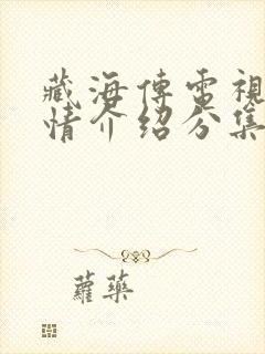 藏海传电视剧剧情介绍分集