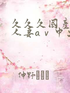 久久久国产精品人妻aⅴ中出