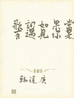 歌词如果当初没有遇见你是什么歌