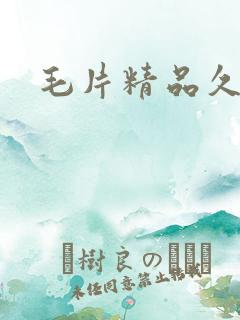 毛片精品久久久